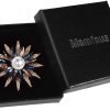 Austrain Crystal Geometry Flower Brooch Pins with Simulated Pearl Bouquet Jewelry Accessories for Women