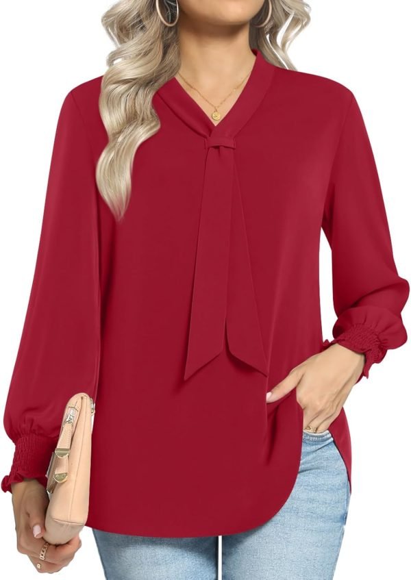 614bgED7xeL._AC_SL1500 Women's Fall Long Sleeve Chiffon Blouse Winter V-Neck Tunic Tops Business Shirt