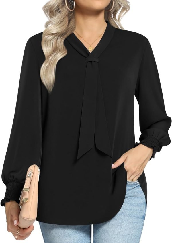 61lXq1TGfSL._AC_SL1500 Women's Fall Long Sleeve Chiffon Blouse Winter V-Neck Tunic Tops Business Shirt