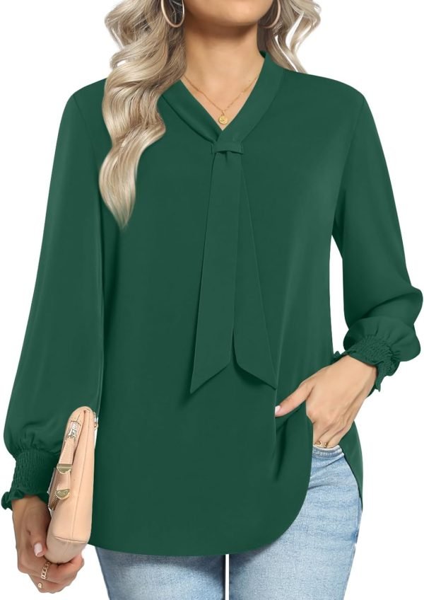 61nx8V3ID8L._AC_SL1500 Women's Fall Long Sleeve Chiffon Blouse Winter V-Neck Tunic Tops Business Shirt