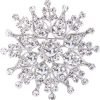 Women's Austrian Crystal Elegant Flower Leaf Bridal Corsage Brooch Pin