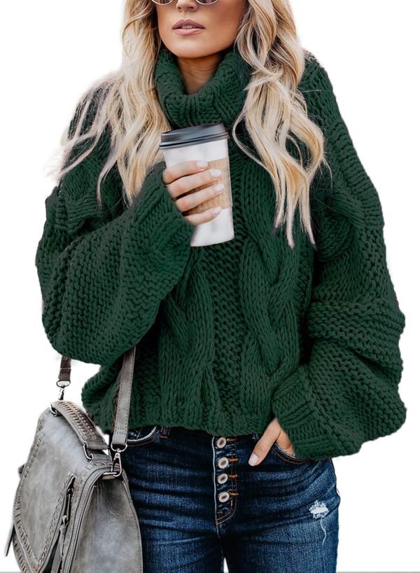81A1IIAmVxL._AC_SL1500 Womens 2024 Winter Fall Solid Turtleneck High Neck Balloon Long Sleeve Sweaters Pullover Outerwear